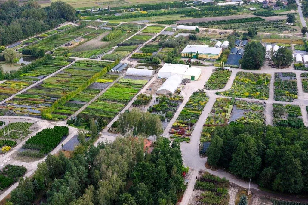 Питомник растений