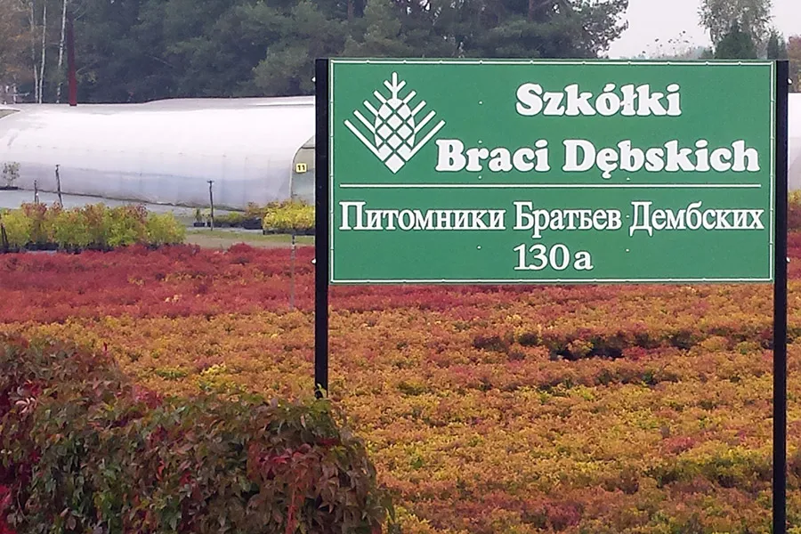 Многолетники