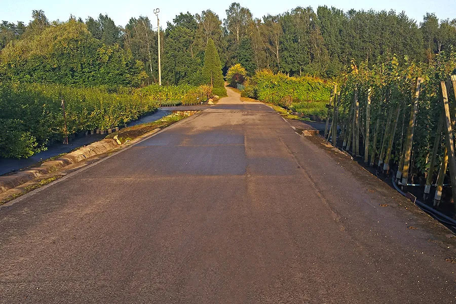 Площадь продаж