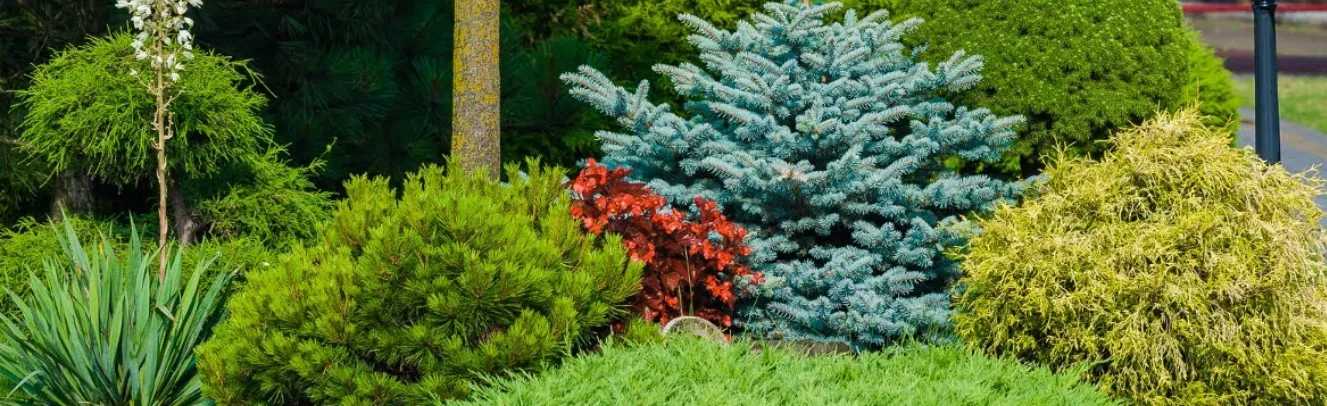 Большое поле с питомником деревьев и кустарников